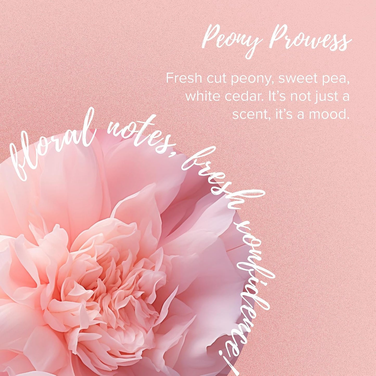 Dry Goods Sweat Defense™ Moisture Control Balm