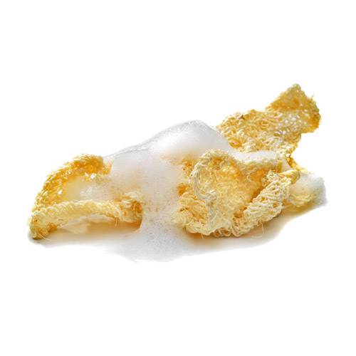 Handwoven Ayate Cactus Fiber Washcloth – Natural & Soft Exfoliation